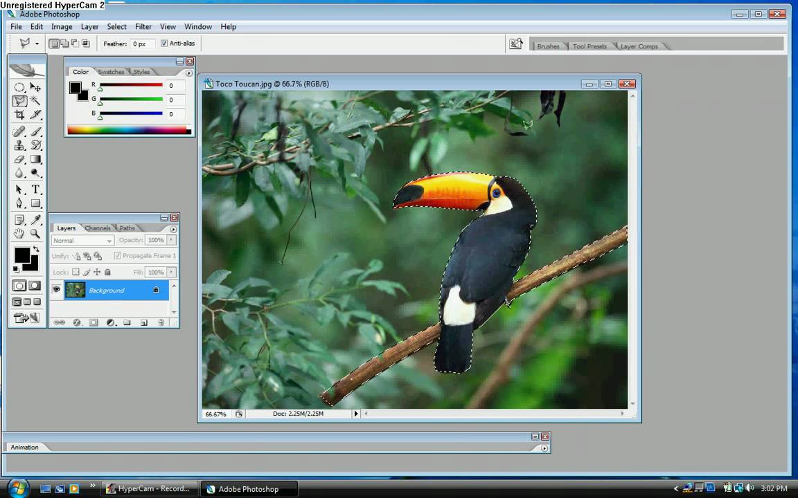 How to crop a picture in to Adobe Photoshop CS2