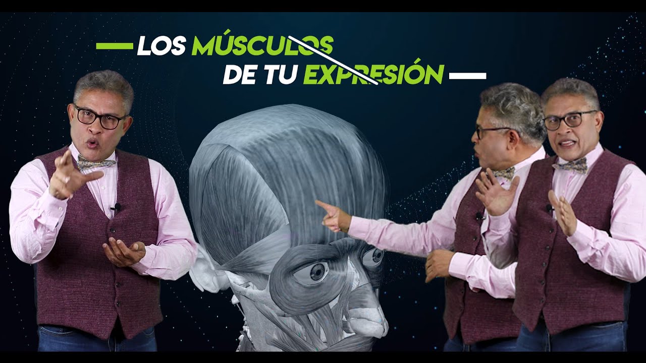 MUSCULOS DE LA CARA Y MIMICA 