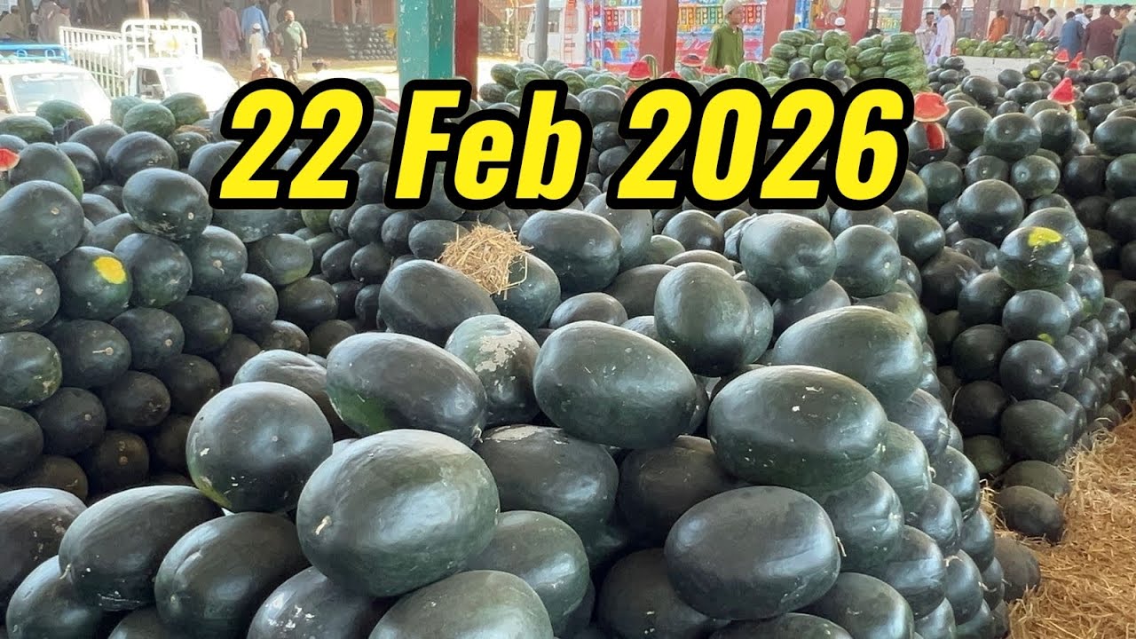 Karachi Sabzi Mandi 22 Feb 2026 rates today| Karachi Fruit Mandi rates todayKarachi