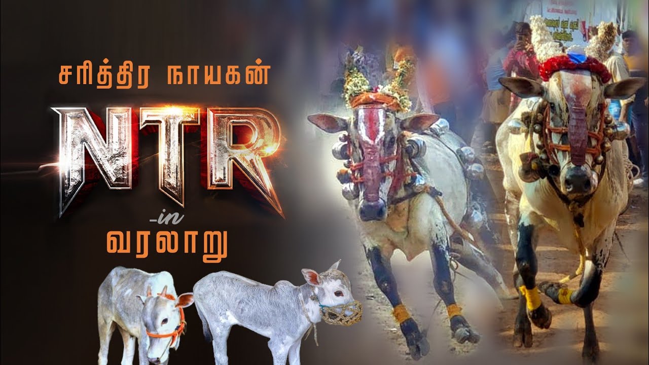 NTR Rajauli History NTR சரித்திர நாயகன் வரலாறு Eruthukattu