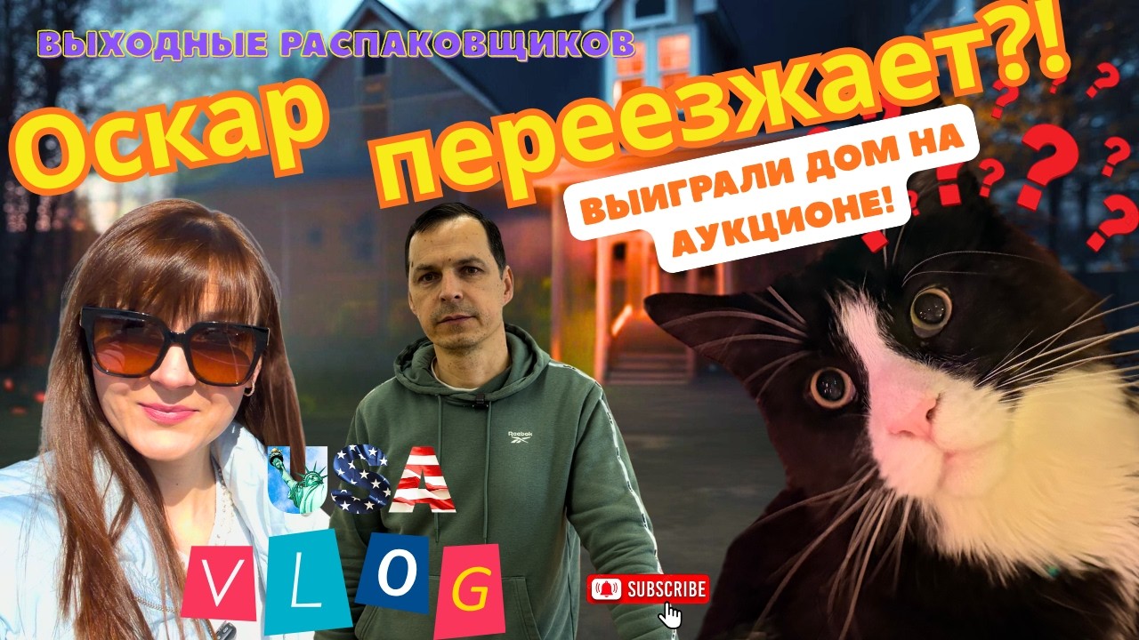 👉 Что мы выиграли на аукционе?! Потерянные посылки, TJ Maxx и дом для Оскара 🏠