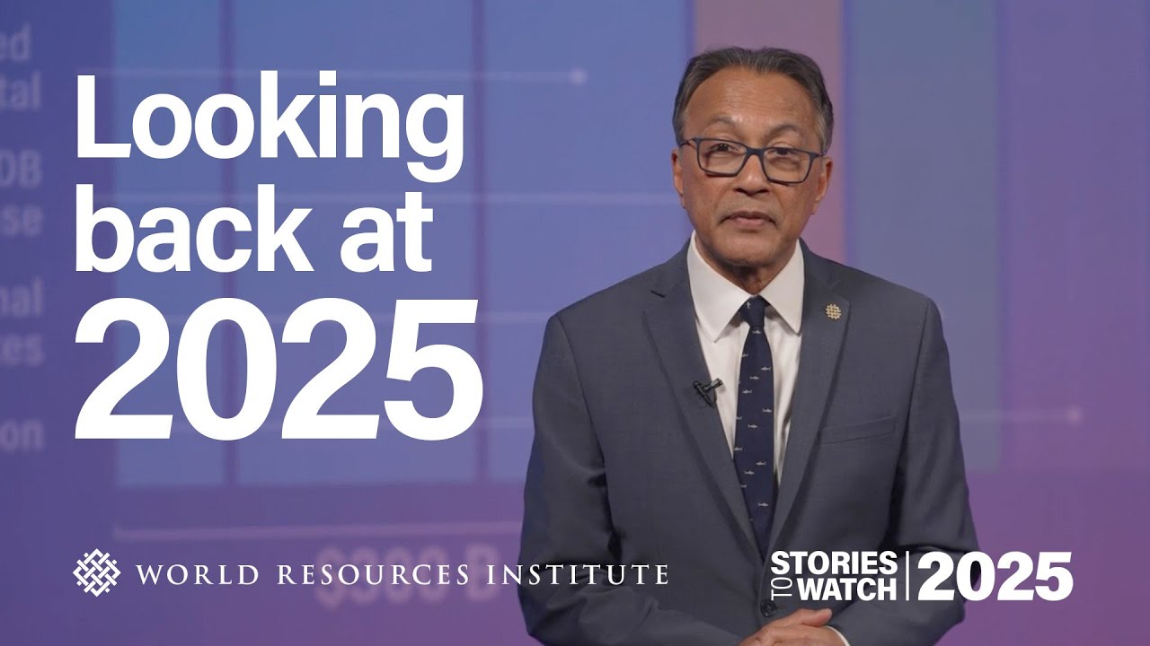 Looking back at 2025 | WRI's Stories to Watch