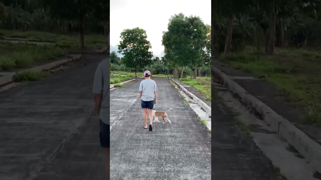 My daily routine with my family & pets #shorts #fyp #iscp #makemefamous #doglovers #dogwalking #dogs