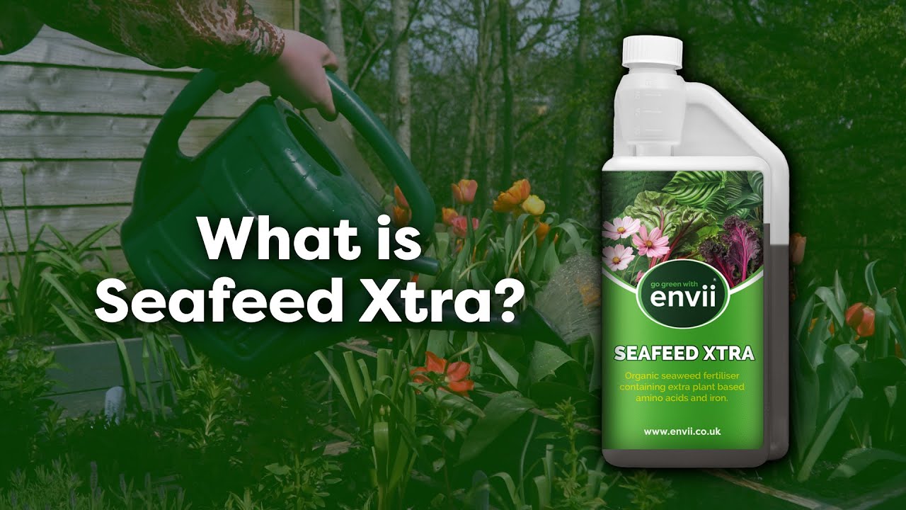 What is Seafeed Xtra?