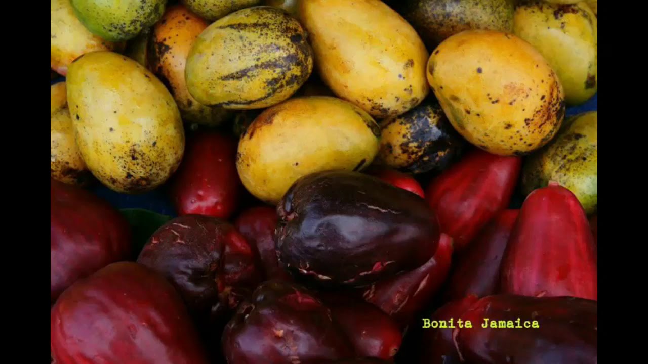 Mediatakeout Exclusive Nepole - Sweet Jamaica ( August 2018)