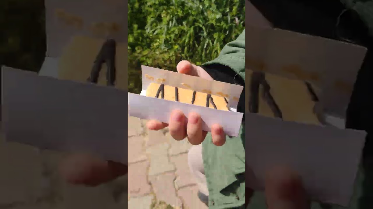 DOĞA TEMALI VLOG VİDEOSU 