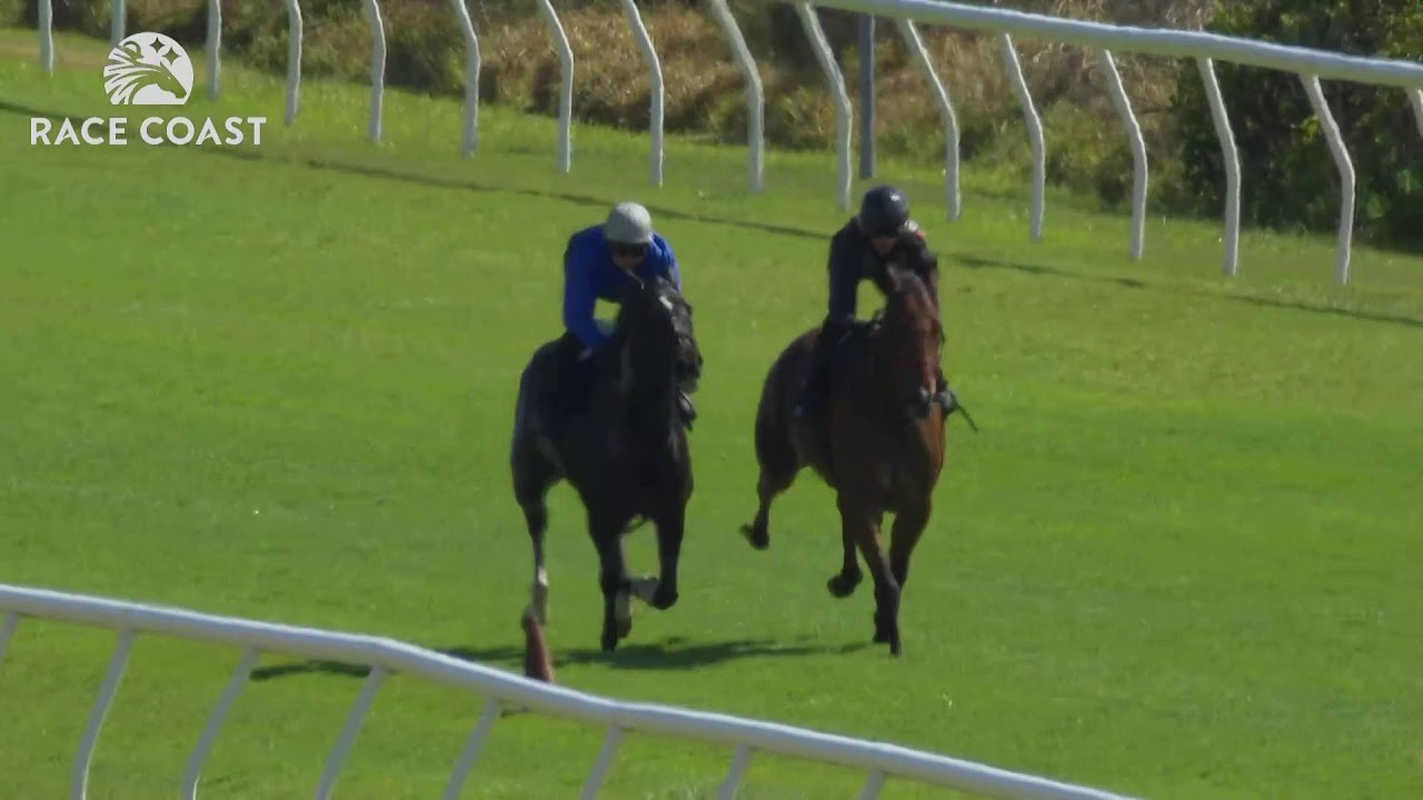 WSB MET 2026 Morning Gallops