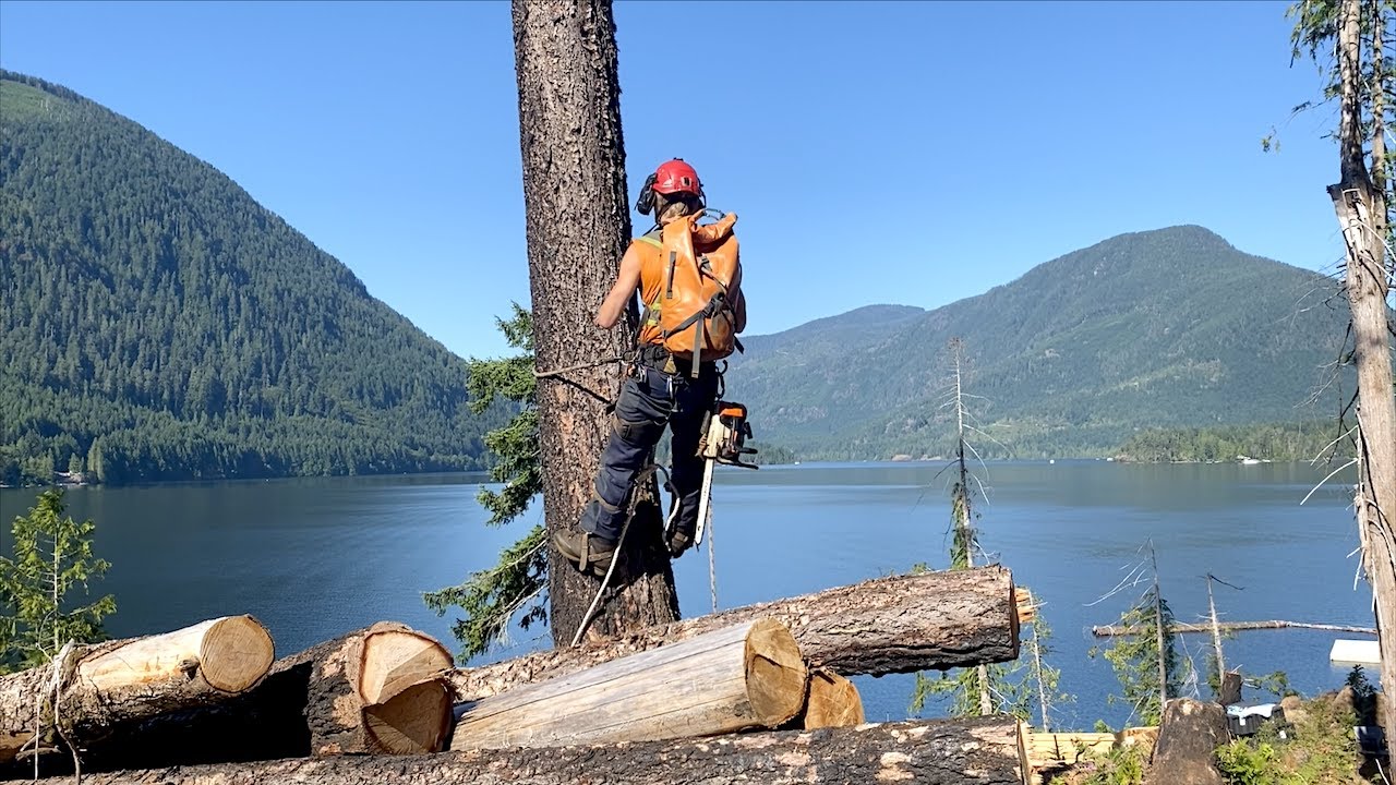 Falling a Large Tree and Setting Rock Shed Footings