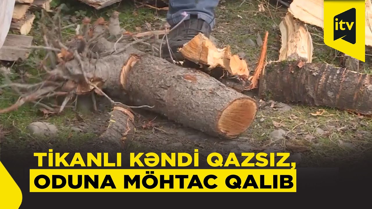 Tikanlı kəndinin qış qayğıları: Qaz yoxdur, odun baha