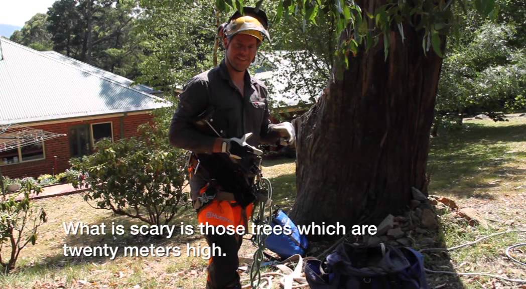 Dutch TV - The Climbing Dutchman