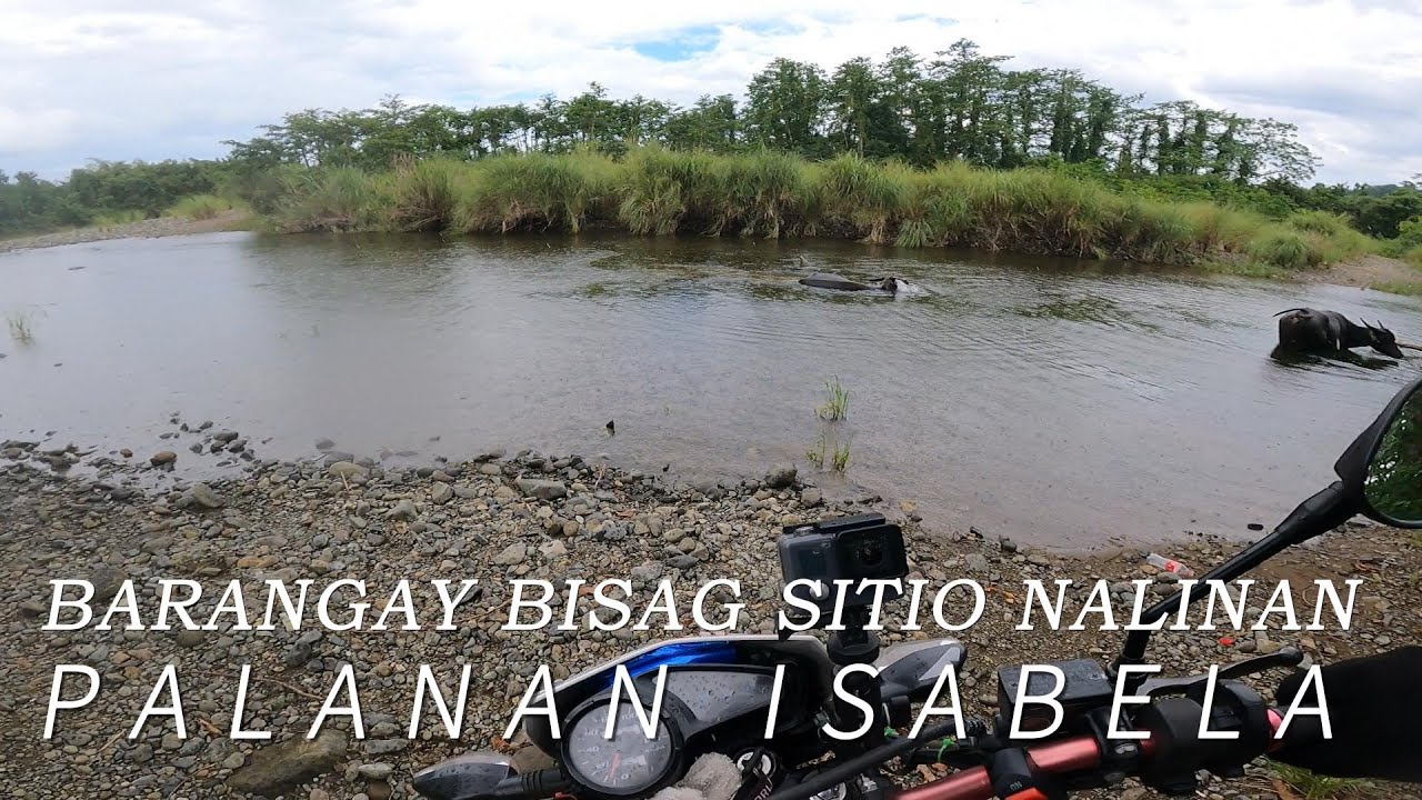 BARANGAY BISAG SITIO NALINAN PALANAN ISABELA