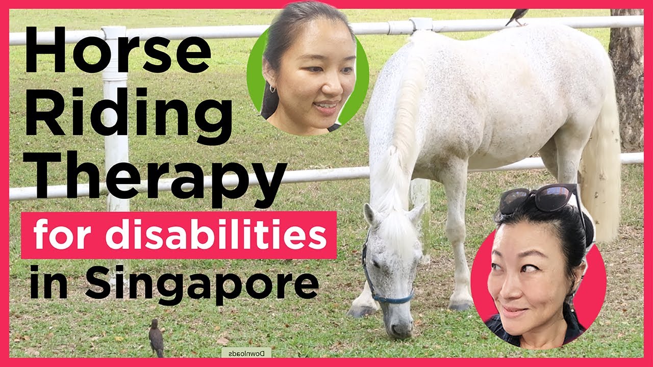 Horse Riding Therapy for the disabilities, 장애인을 위한 승마 치료