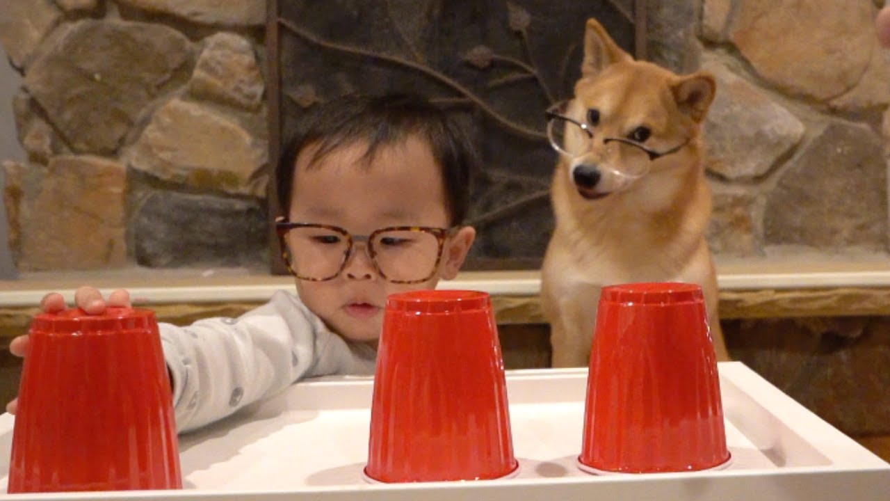 Who has the Higher IQ? [Part 1 of 5]