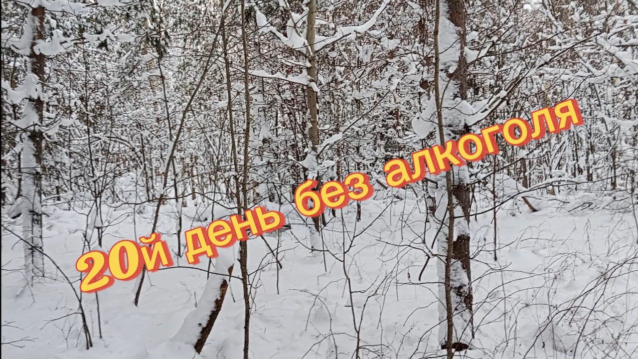 20й день без алкоголя.