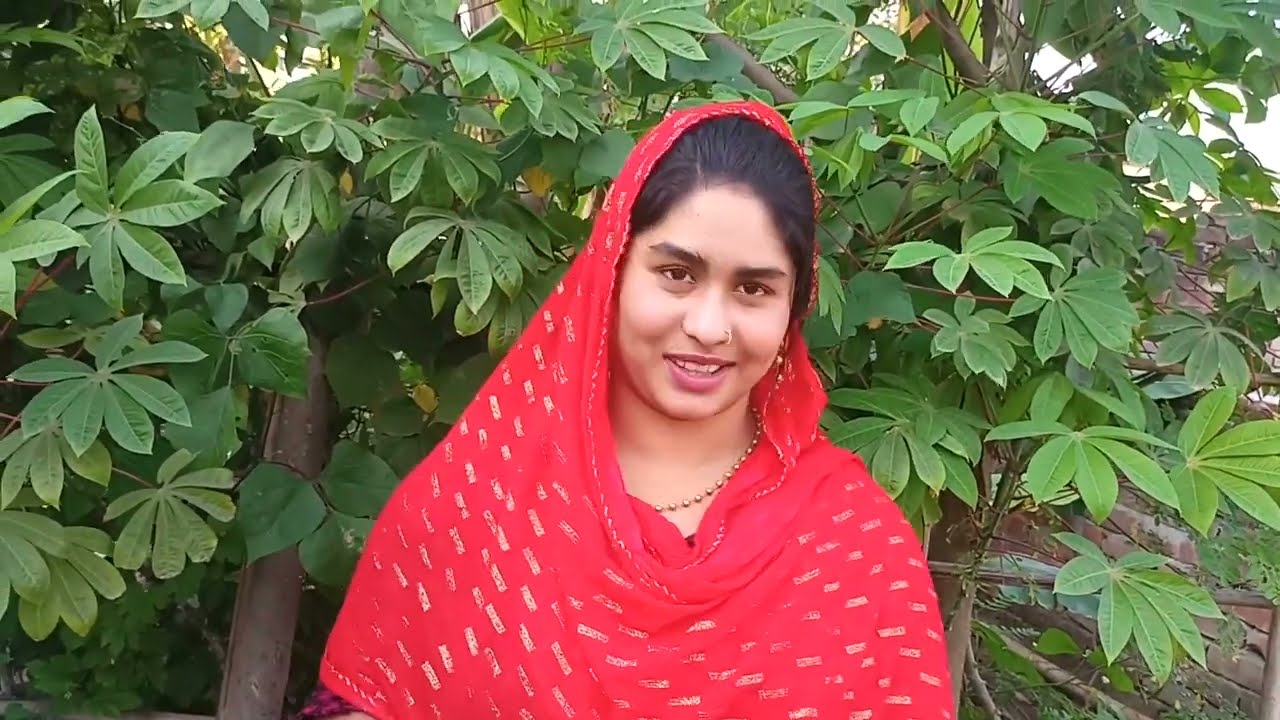 পে টে একটা বাধায় দিয়া তারপর চলে যায় এরা সংসার করতে আসেনা সেই মানুশিকতা নাই
