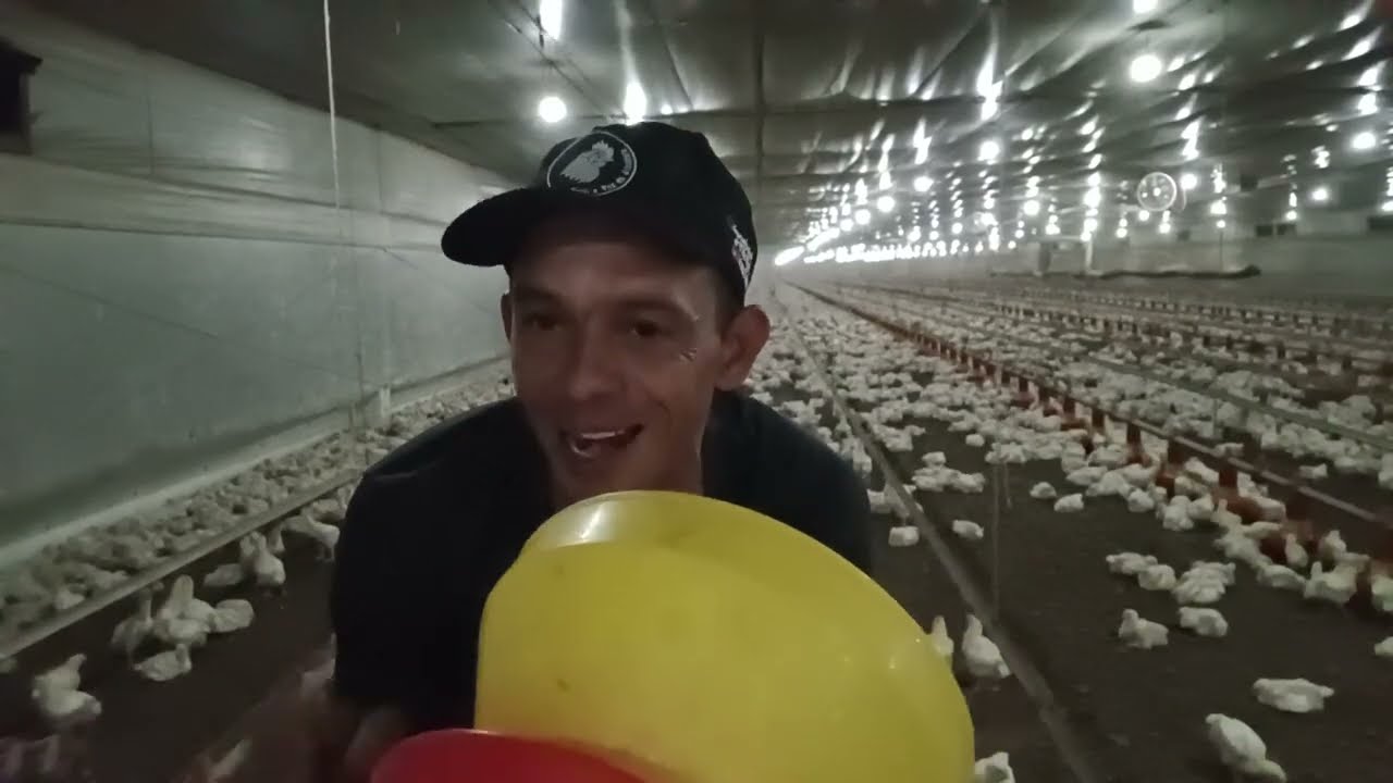 Comedor infantil hora de retirar vidio 02