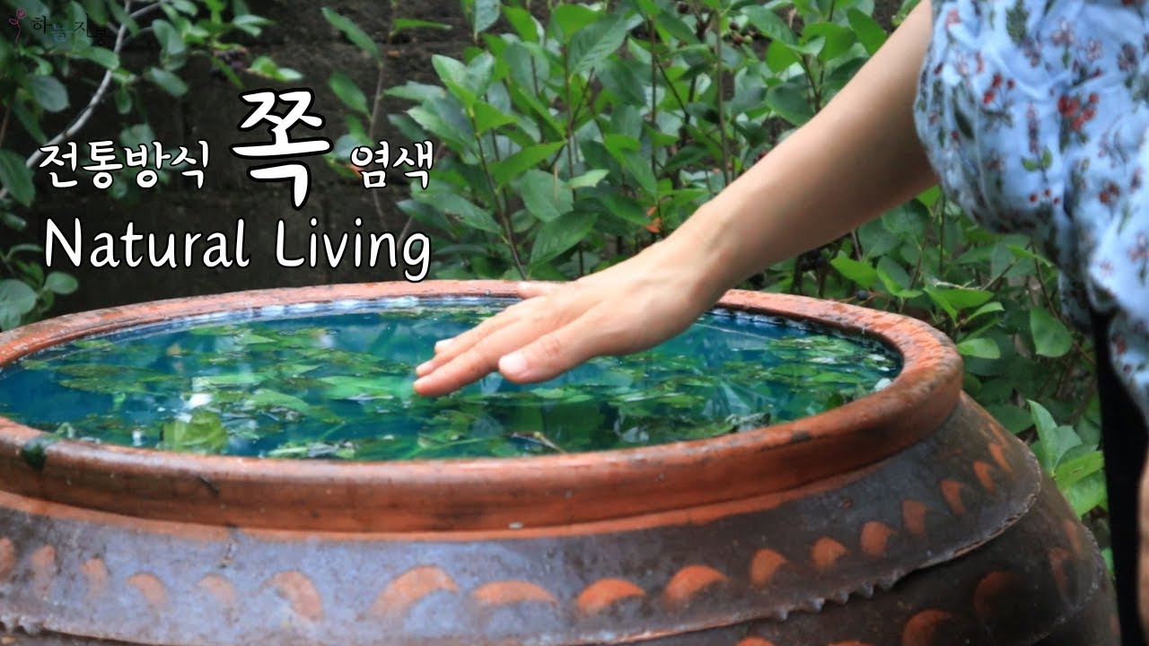 하늘지붕🌳 자연주의 살림 ㅣ 전통방식 발효 쪽염색 70일의 기록 ㅣ 나주 천연염색 ㅣ 힐링 염색 영상 Indigo Dyeing & Nature Life