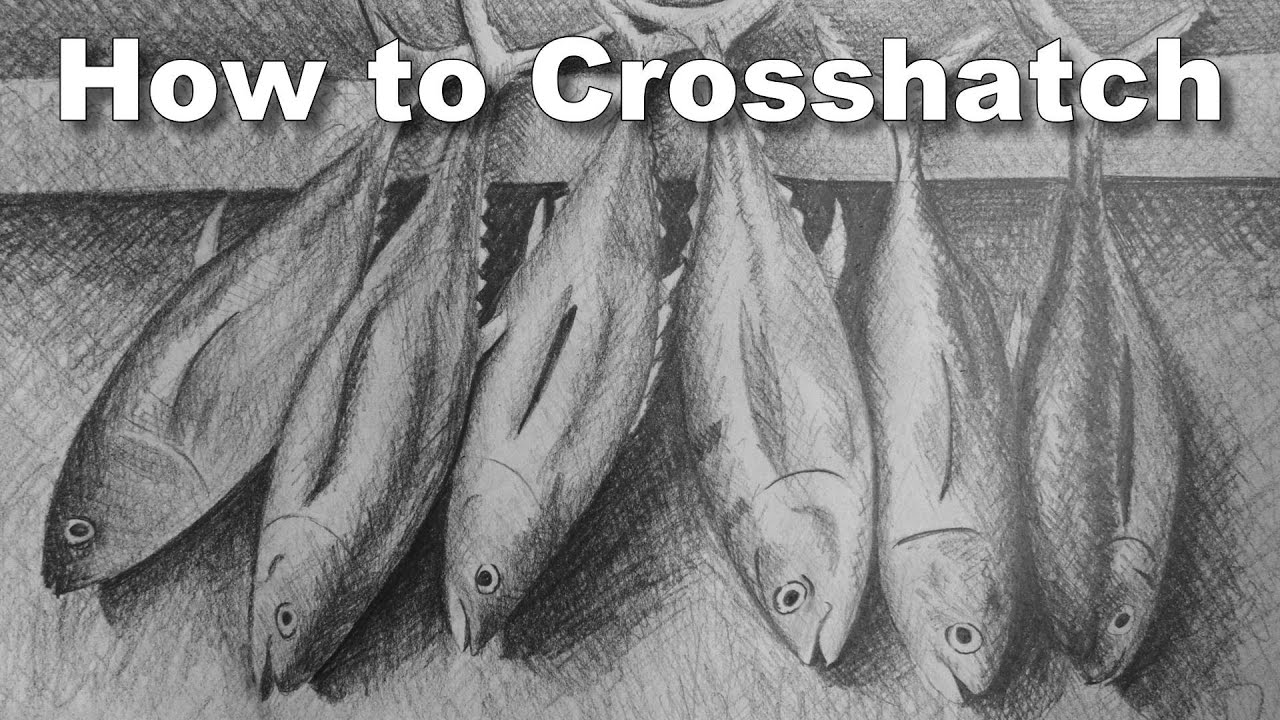 How to Cross Hatch  - Fish Crosshatching Drawing Lesson #drawalong