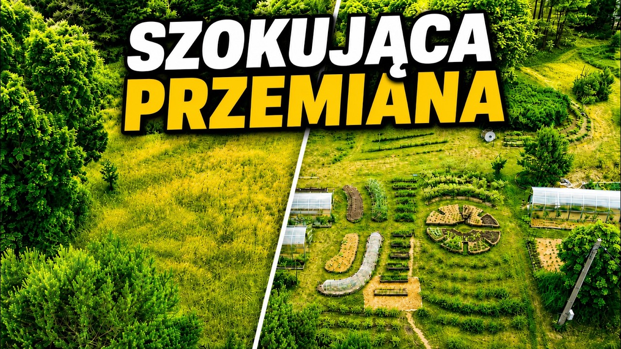 From Overgrown Meadow to Dream Garden