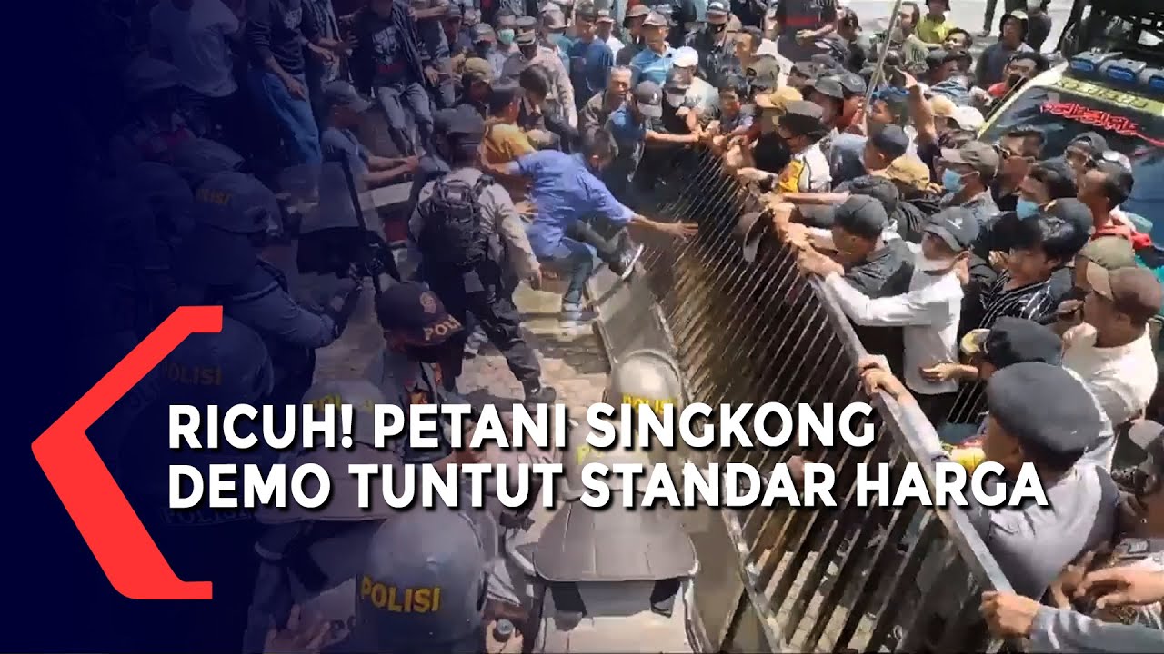 Ricuh! Petani Singkong Demo Tuntut Standar Harga