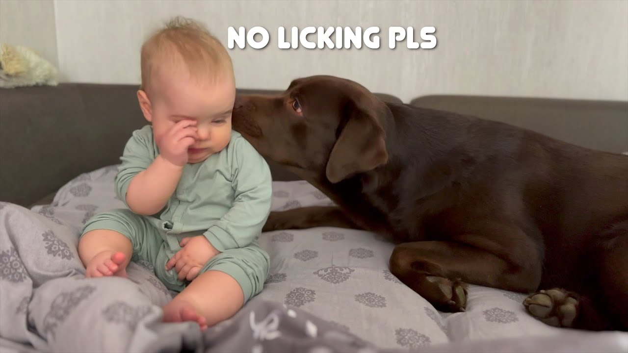 My Baby Wakes up to My Dog kisses! Sweetest Reaction Ever!