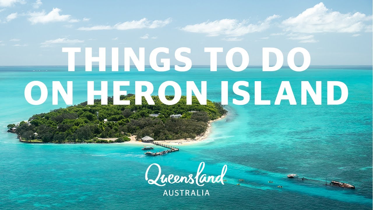 Things to do on Heron Island