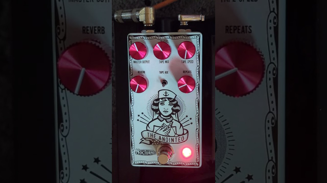 Quick run through of Nocturne Anointed pedal. (EP-3 Echo plus Chamber Reverb)