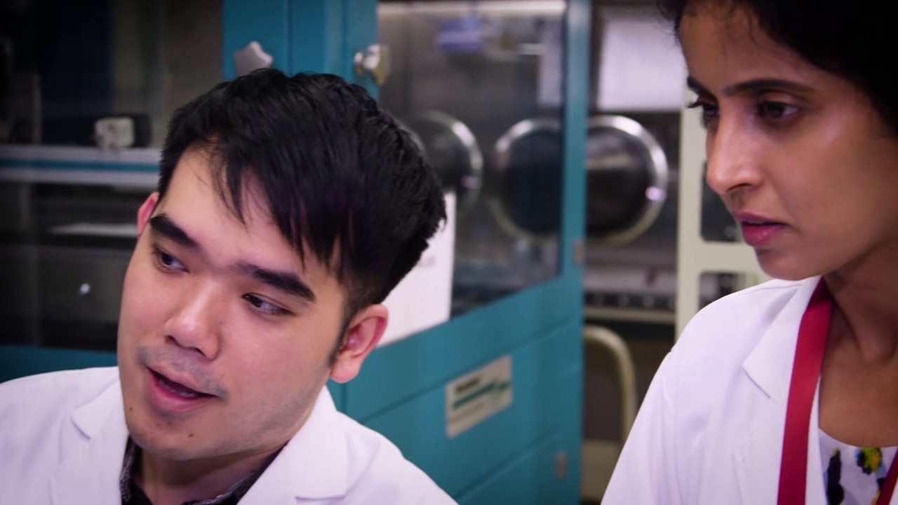 School of Materials Science and Engineering, Nanyang Technological University
