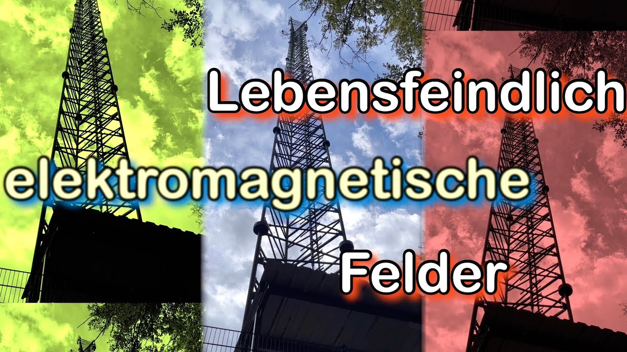 St&ouml;rfelder harmonisieren - 7 Tipps