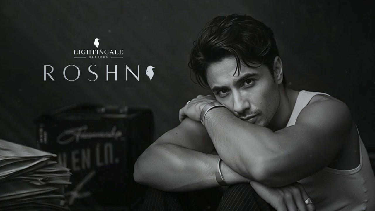 Dhoondta Hoon - Ali Zafar | Official Audio | Roshni