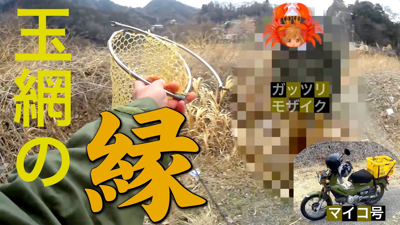 トラウト解禁２日目に釣りに行ってみた【キーワードはカニ・クロカワ・イレグイ】