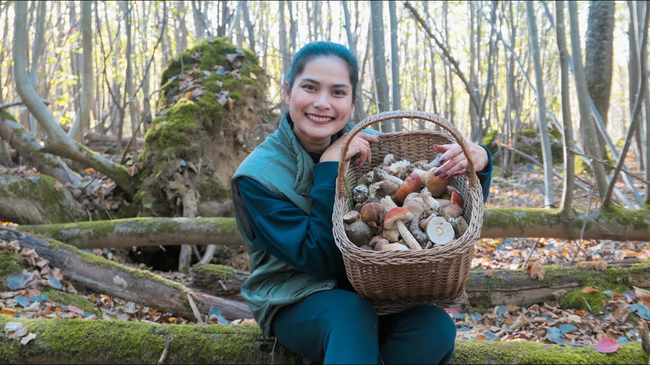 Mushroom in France/មកដកផ្សិតទៀតហេីយមកលេីកទី4មកលេីកនេះដកផ្សិតបានជិត10kgផ្សិតល្អៗណាស់🍄🍂🍁