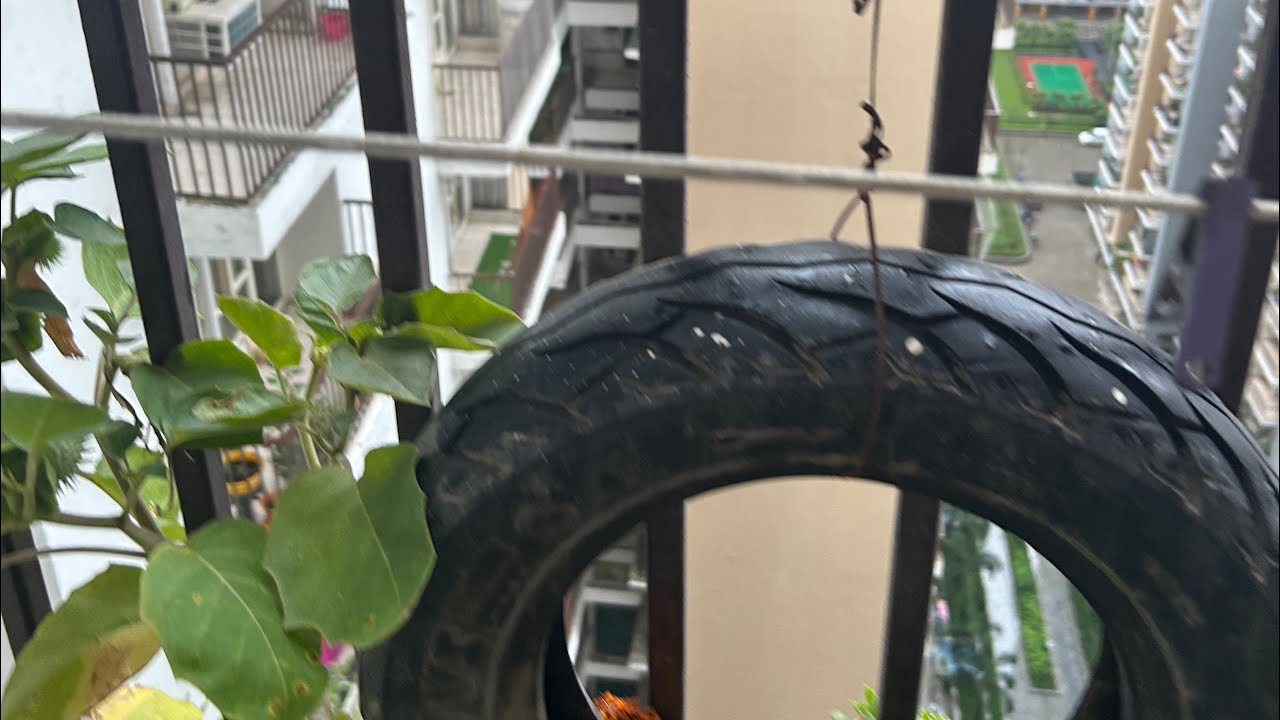 Heavy Rains with Wind storm in Greater Noida 
