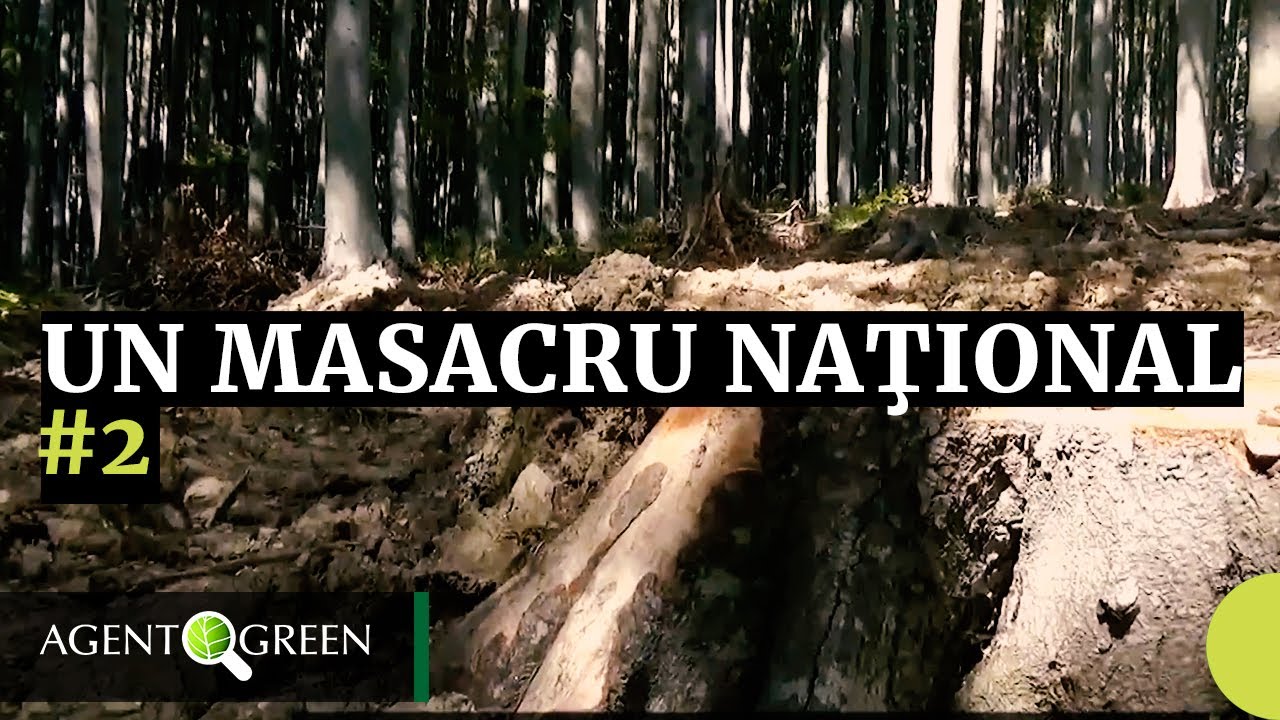 UN MASACRU NAŢIONAL #ep2 Parcul National Semenic - Cheile Carasului