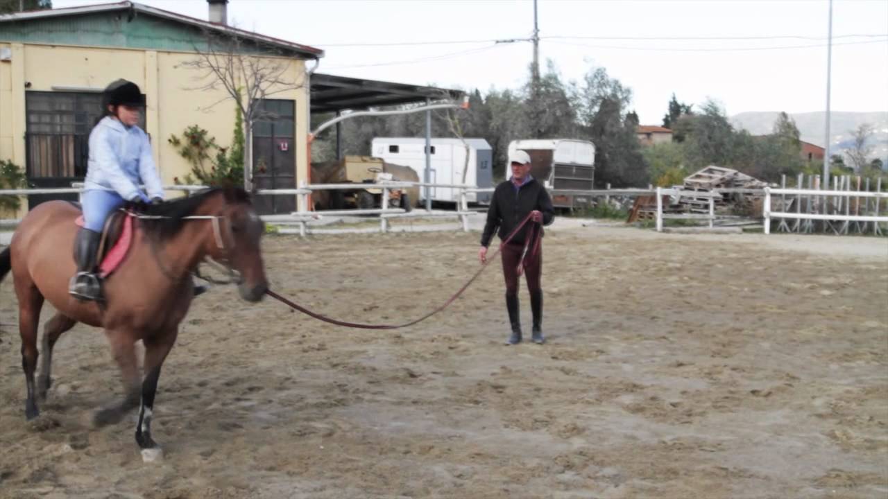 Scuola Equestre - Primo Galoppo