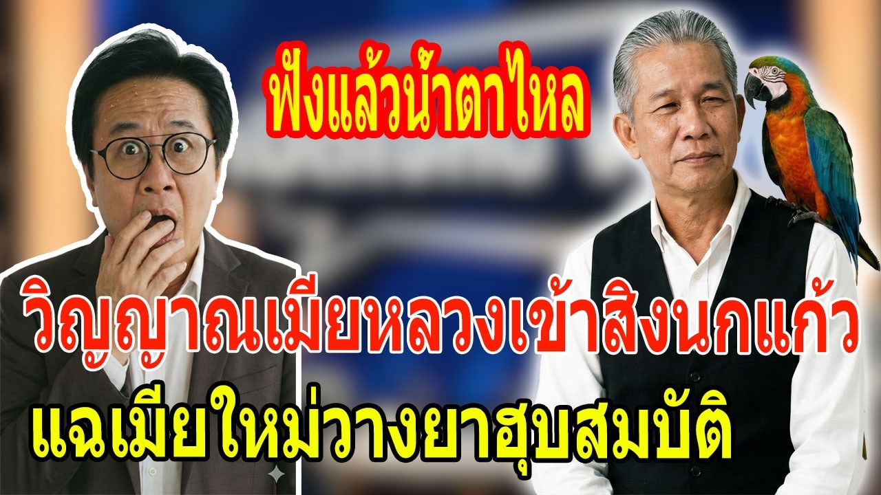 เรื่องอึดอัดใจ กับ วีที: วิญญาณเมียหลวงเข้าสิงนกแก้ว เปิดโปงเมียใหม่วางยาพิษฮุบสมบัติ