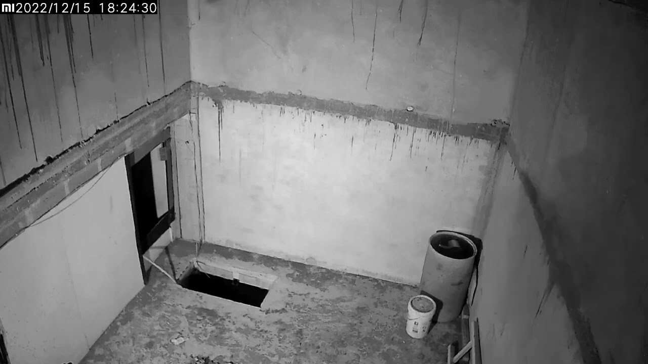 JGN SAMPAI DI LEWATIN VIDIO BAGI  PEMULA#belajar#membina#burung#