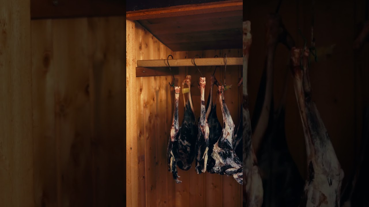How to cold smoke deer  🦌