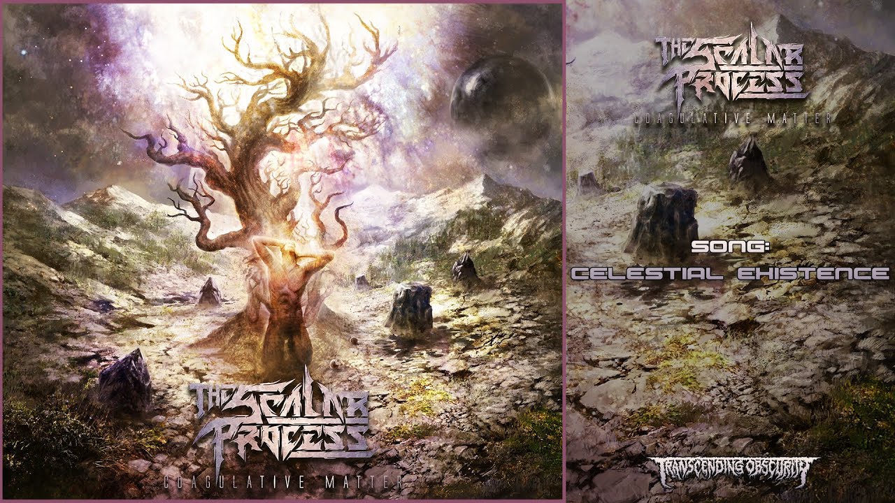 THE SCALAR PROCESS (France) - Celestial Existence (Technical Death Metal) #technicaldeath