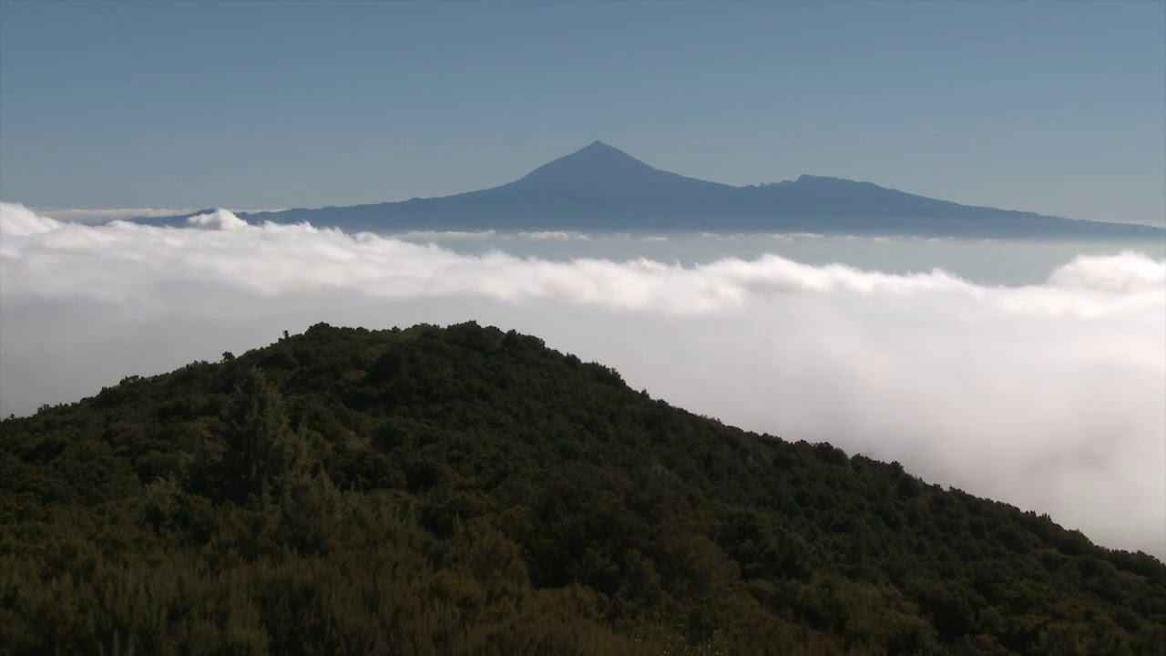 #ParqueNacional Garajonay (corto)