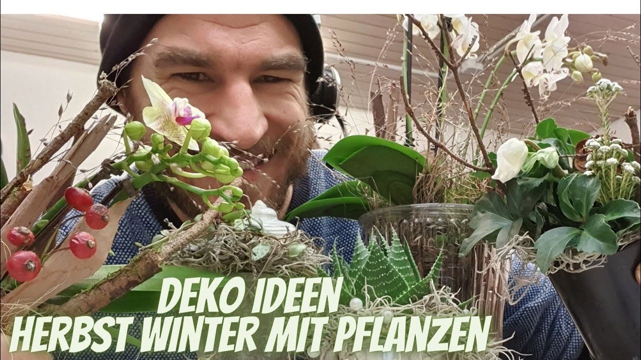Livestream #348: Pflanzen Deko IDeen f&uuml;r drinnen und draussen Winter und Herbst Deko Inspirtionen