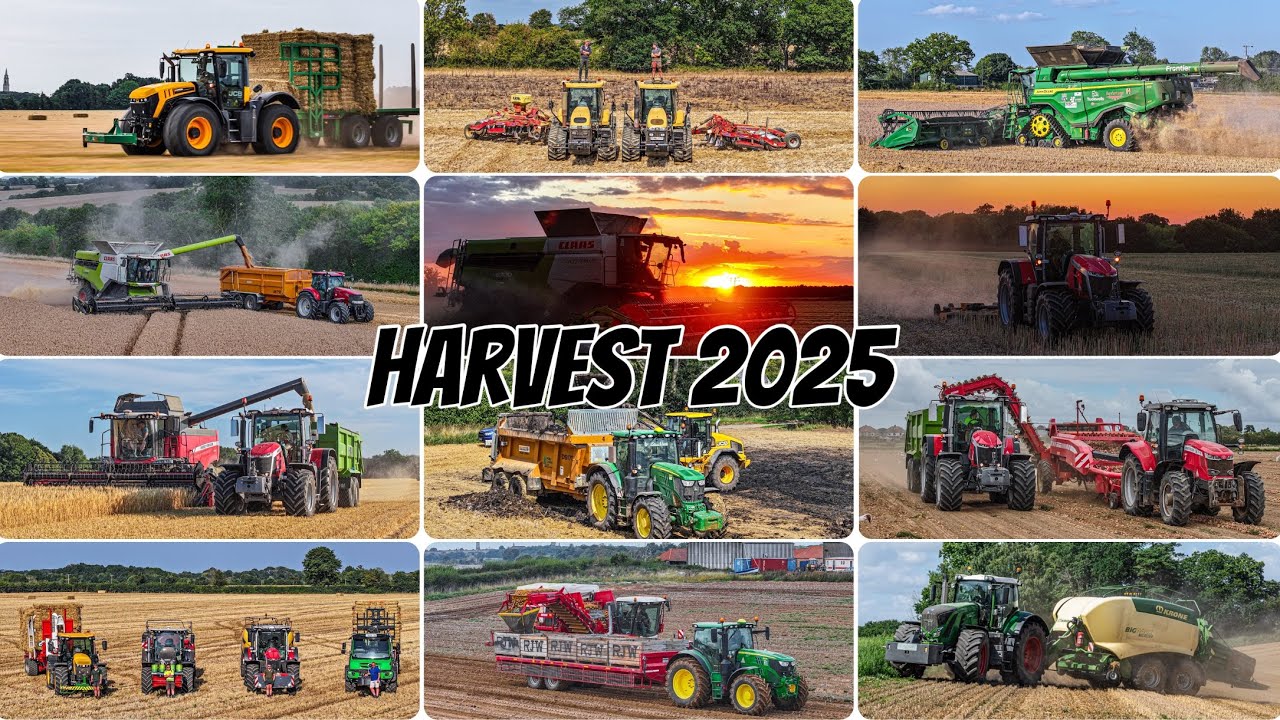 Harvest 2025!!