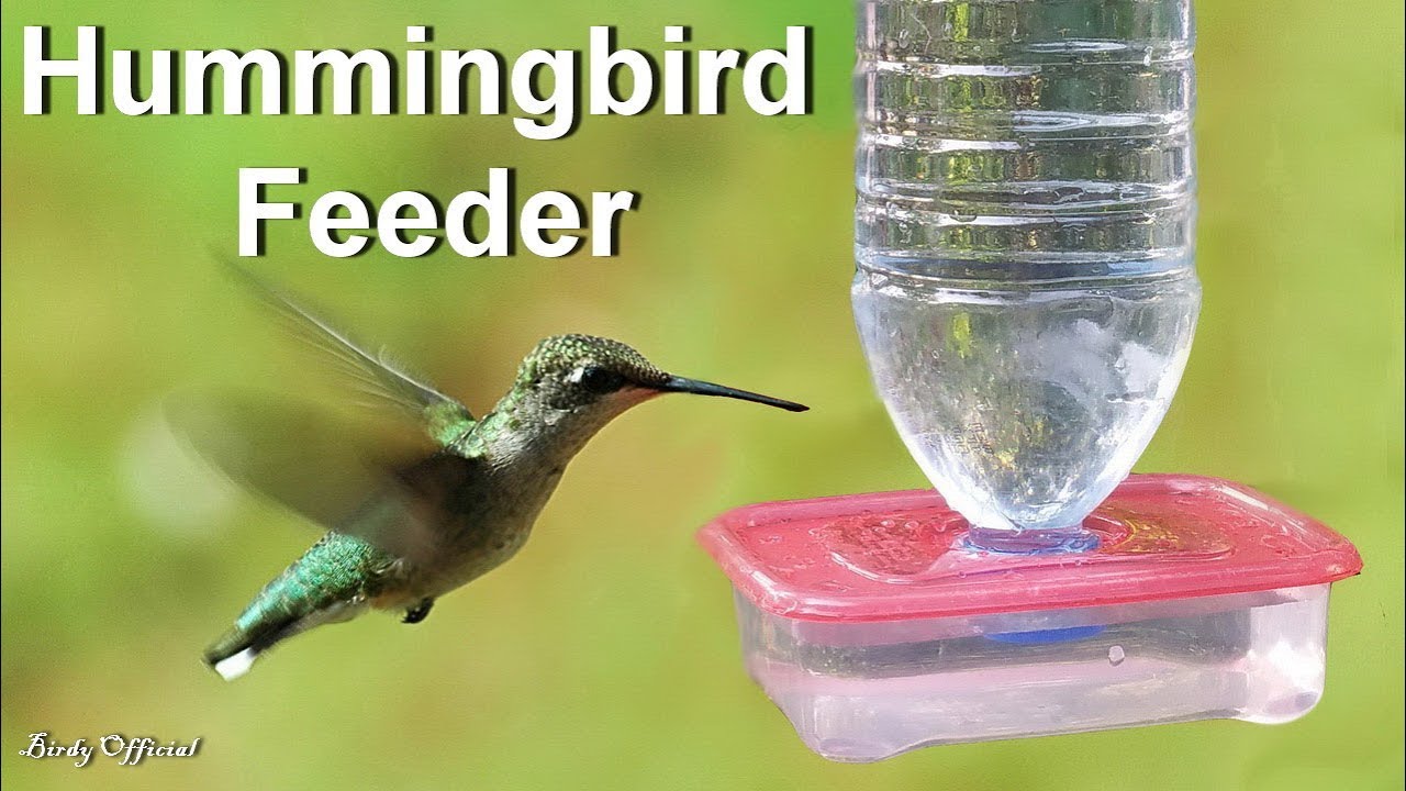 DIY Hummingbird Feeder Homemade - How To Make A Hummingbird Feeder From Plastic Bottle