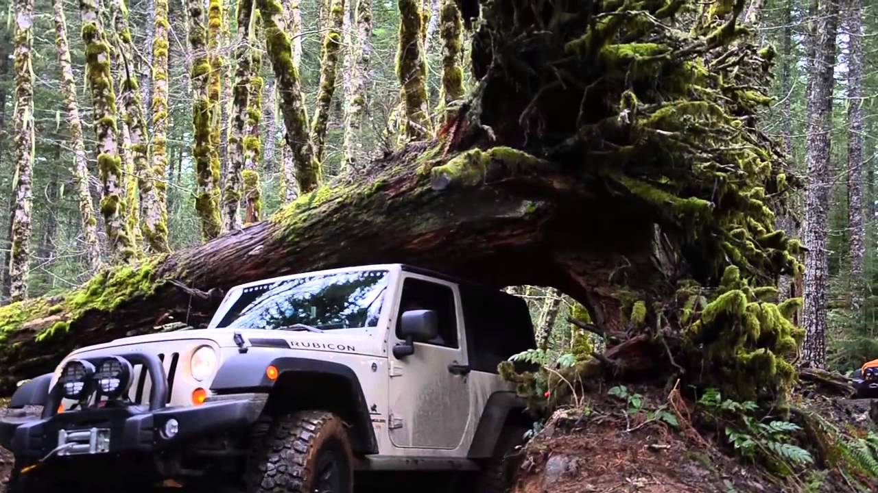 AEV Dealer in Maine New Hampshire Massachusetts Southern Maine Motors Saco Me Bangor Portland Boston