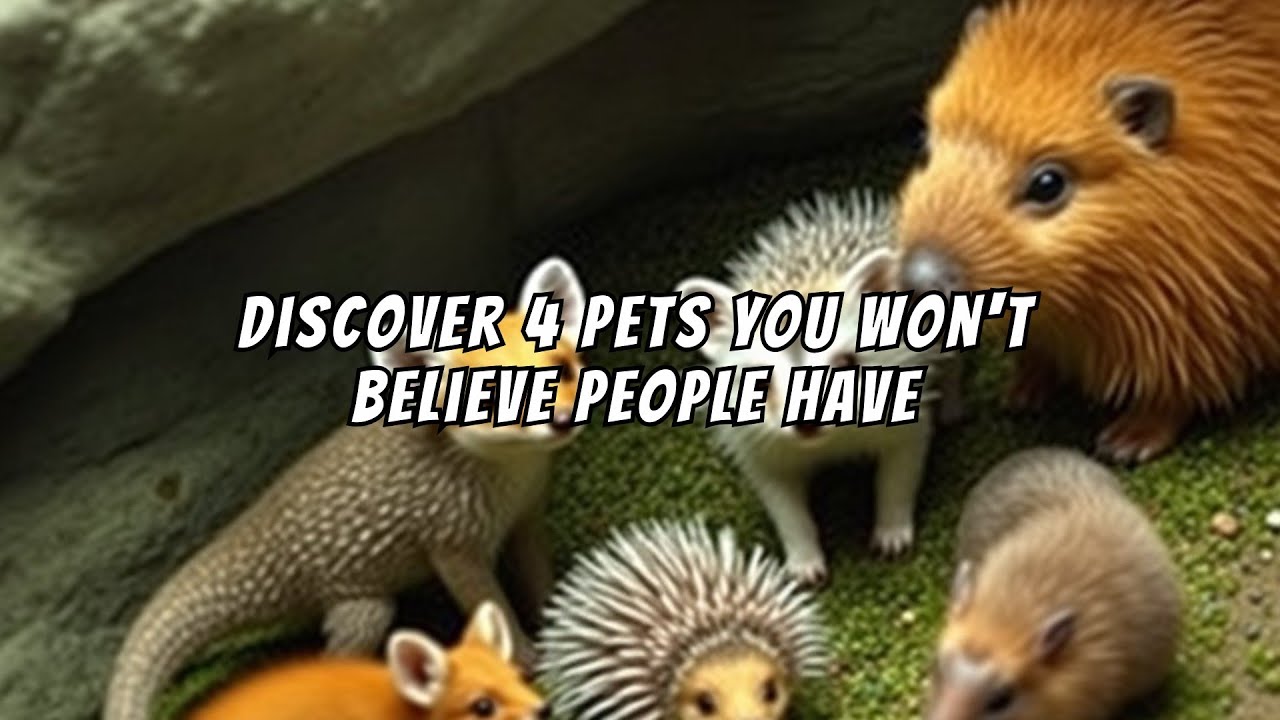 Unusual Pets people actually own!
