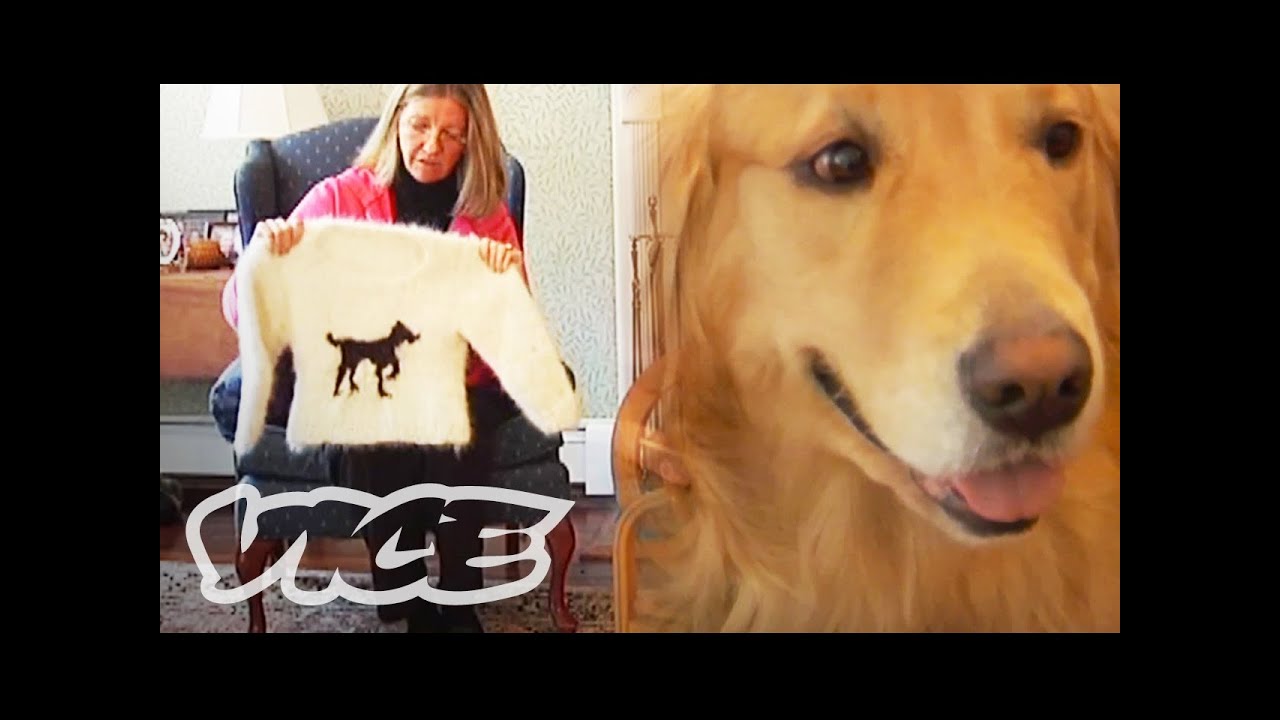 Making Dog Hair Sweaters