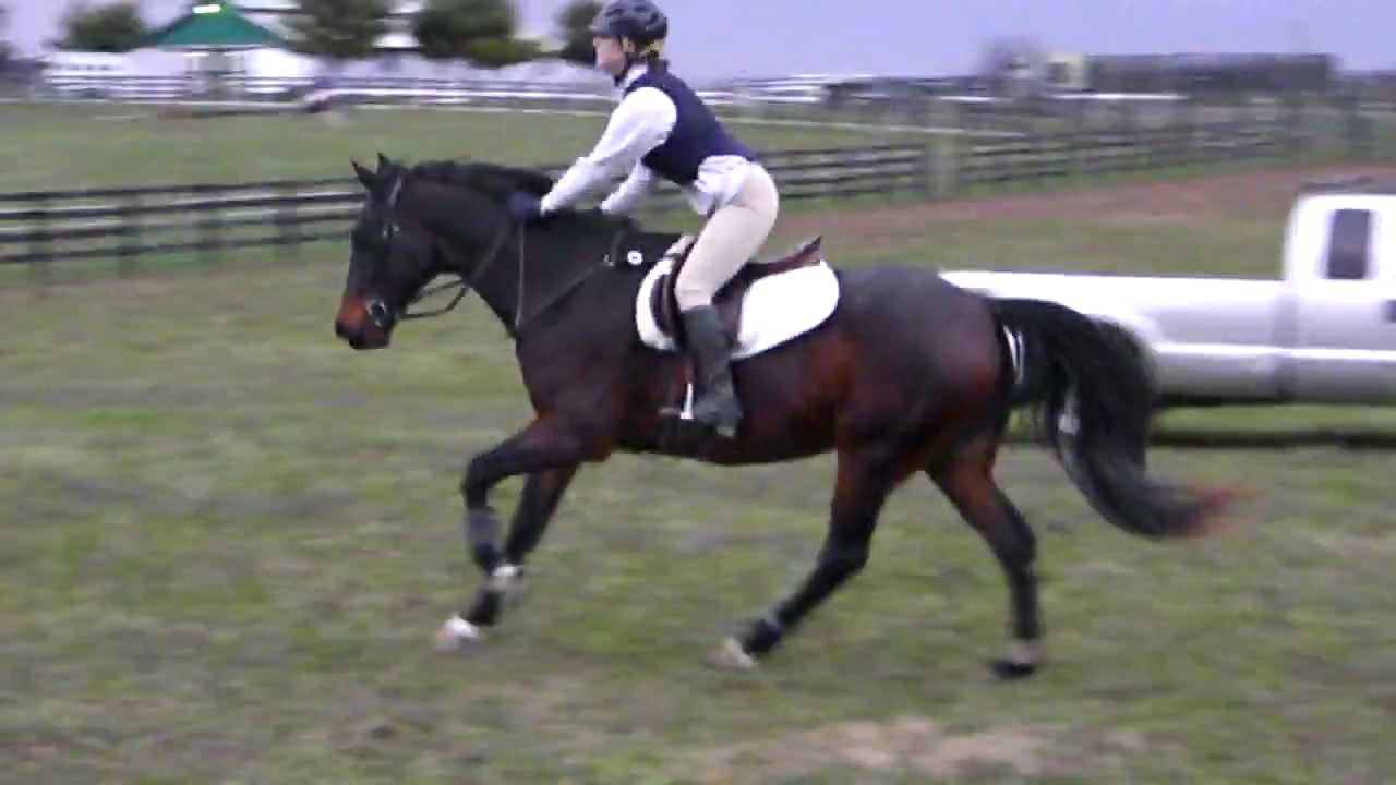 Carlene & Forrest, Bounce XC