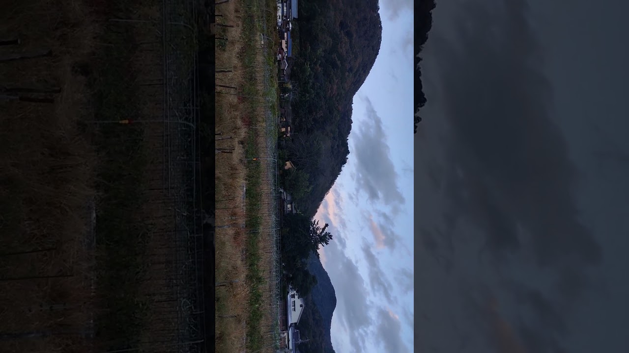 Maizuru#Kyoto#Rainingseason#dualiparemix