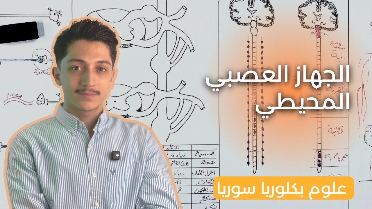 الجهاز العصبي المحيطي (الطرفي) - علوم بكلوريا - د.أيهم بربري