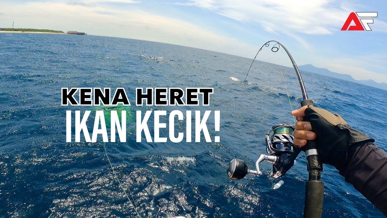 Ikan Kecik Bolt On Turbo! Trip Jigging Semporna Full Strike!